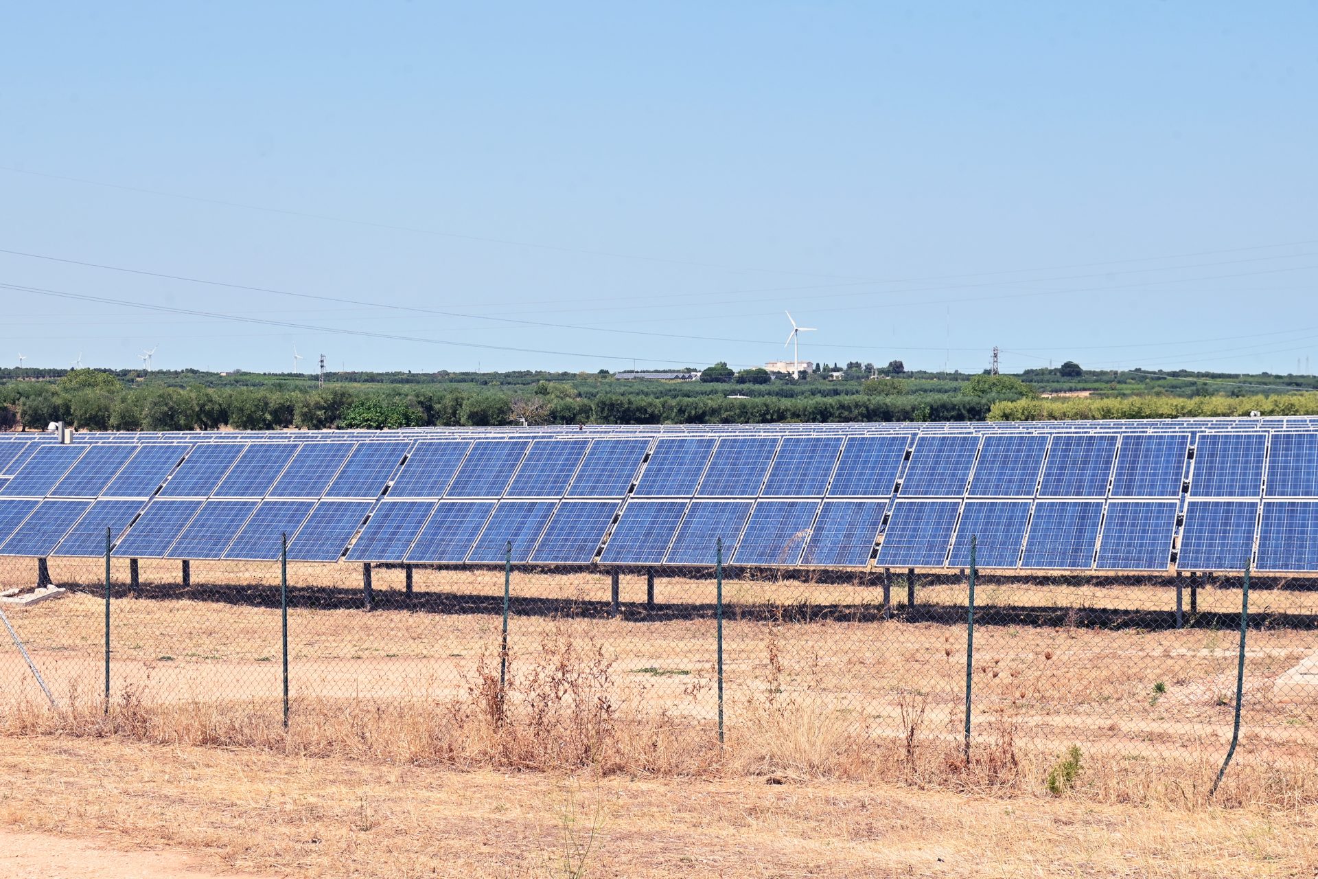 Mase pubblica regole operative Fer X Transitorio