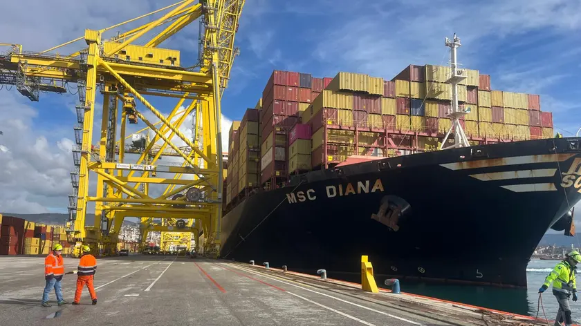 Record a Trieste: la Msc Diana domina il Molo VII