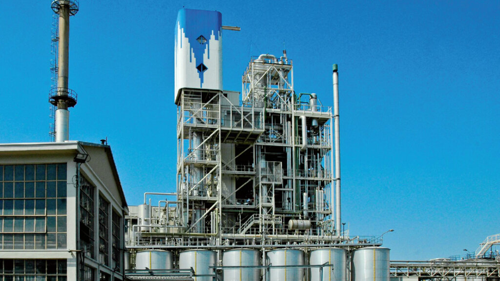 Green Oleo annuncia i risultati gestionali, valore produzione 55,2 mln