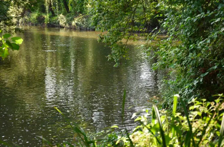 Monza: al via progettazione per riqualificare le aree verdi lungo il Lambro