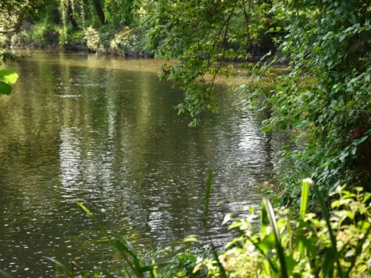 Monza: al via progettazione per riqualificare le aree verdi lungo il Lambro