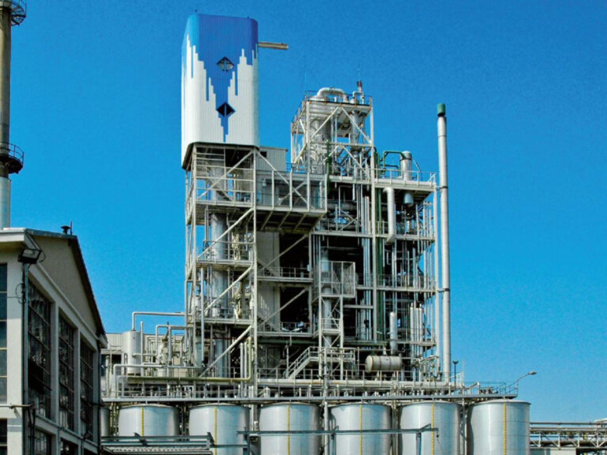 Green Oleo annuncia i risultati gestionali, valore produzione 55,2 mln