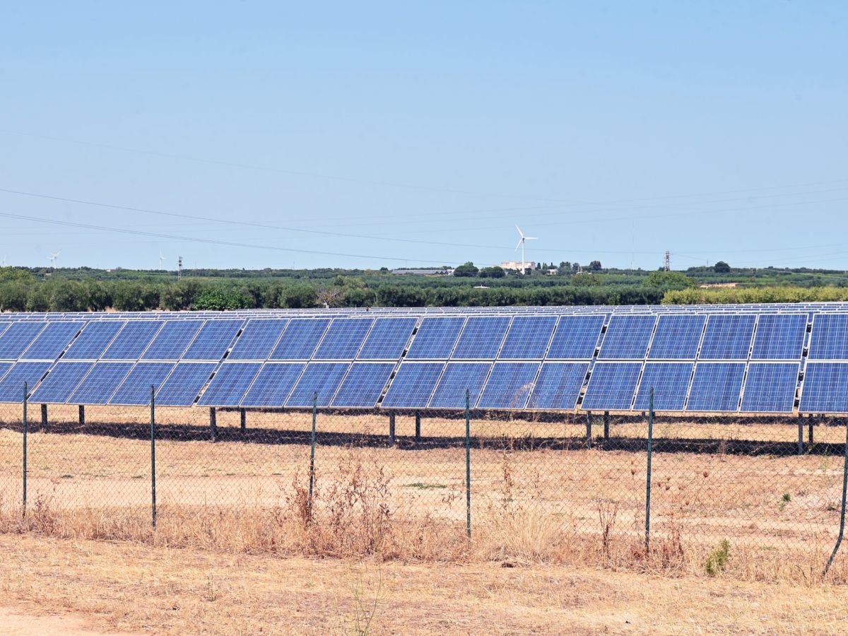 Mase pubblica regole operative Fer X Transitorio